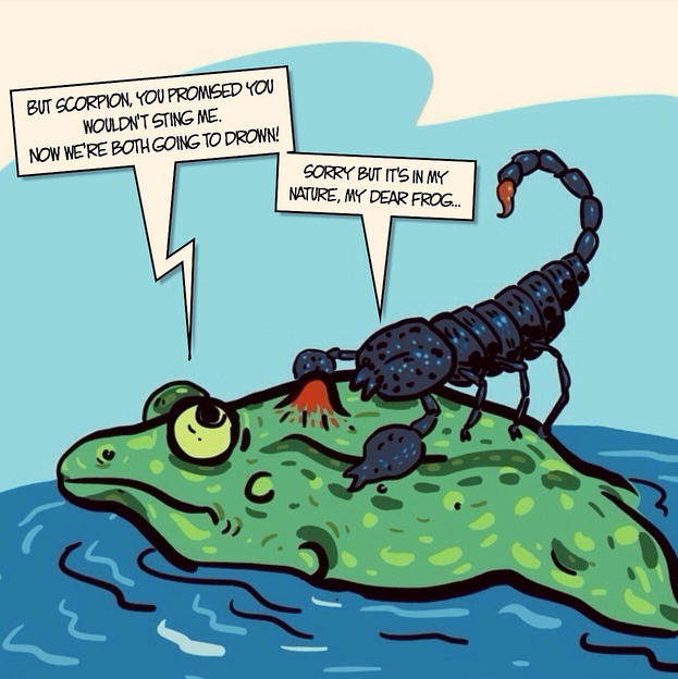 Story of the frog and the scorpion